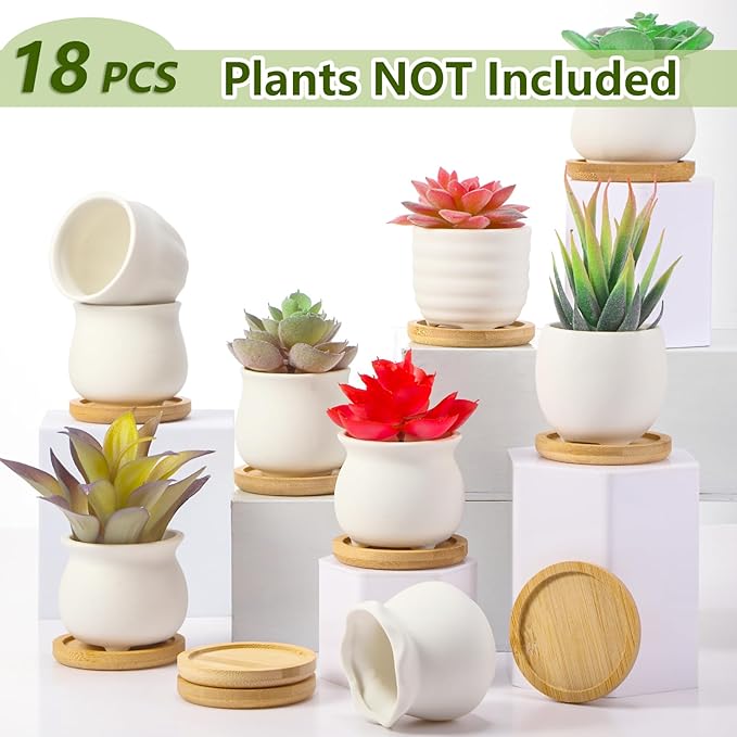 Remerry 2.5 Inch Mini White Succulent Planter Pots with Bamboo Tray Paint Your Own Ceramic Planters DIY Small Succulent Flower Plants Pot Containers Valentine Gifts for Plant Lover(Matte Style,18 Pcs)