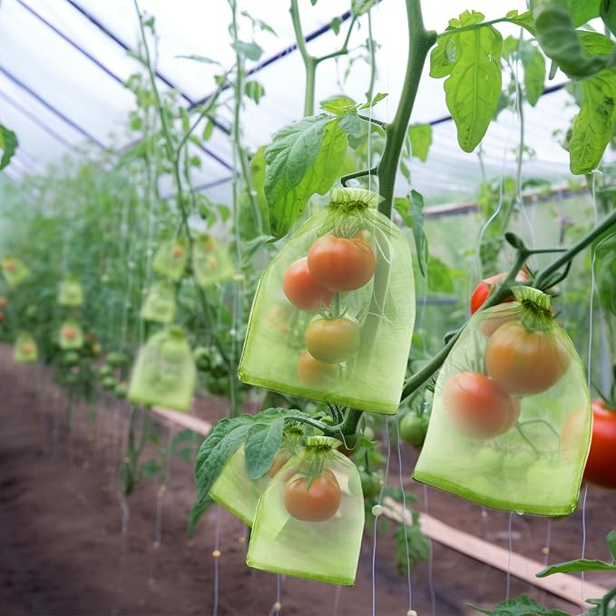50 PCS 6X9 inches Fruit Protection Bags, Fruit Bags for Fruit Trees, Green Netting Fruit Cover Bags Drawstring Mesh Fruit Protectors Pest Barrier for Fruit Trees Veggies Garden