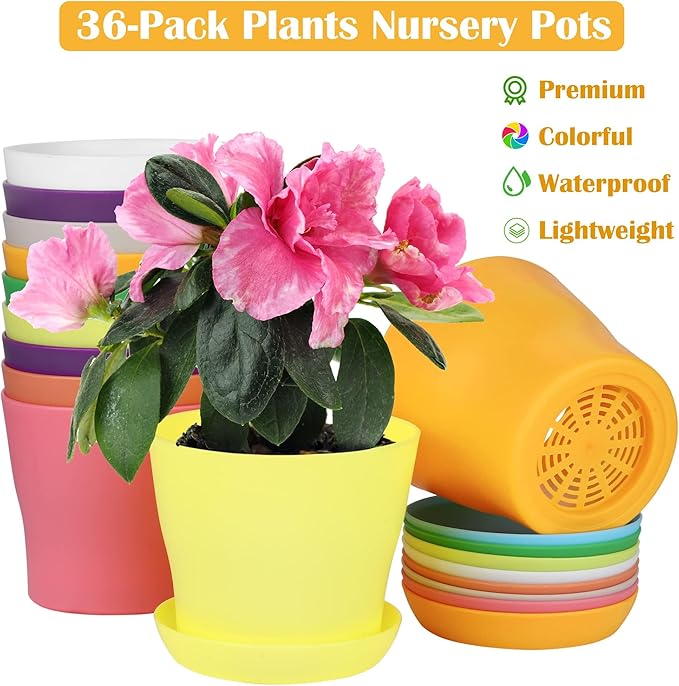Hahood 36 Pack 4 Inch Plastic Plant Pots with Saucers Colorful Flower Plant Container Seed Starting Pots Thickened Seedlings Nursery Pots for Home Garden Indoor Outdoor Flowers, 9 Colors