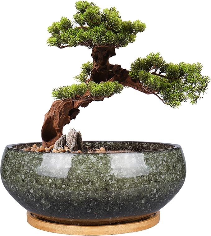 EPFamily 8 Inch Ceramic Bonsai Planter Pot, Glazed Shallow Succulent Planter with Drainage Hole and Bamboo Saucer for Indoor Plants, Brown