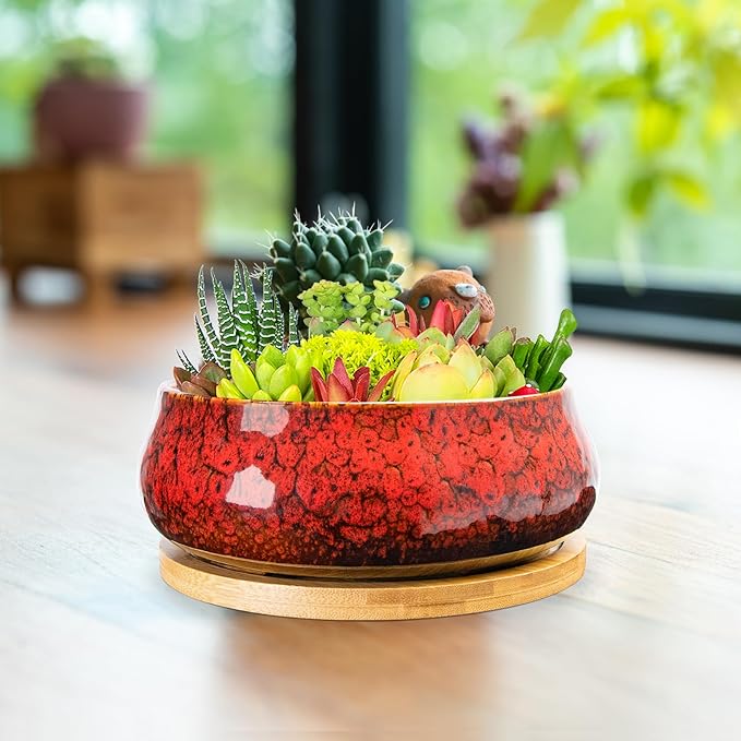 ARTKETTY Succulent Pots - 8 Inch Plant Pot, Large Bonsai Pots with Drainage Tray, Ceramic Planters for Indoor Outdoor Plants, Round Shallow Cactus Flower Plant Container Bowl Decorative Home Garden