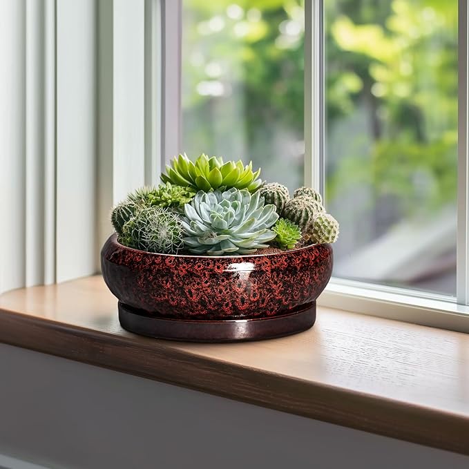 EPFamily Bonsai Tree Pots - 10 Inch Ceramic Succulent Planters for Indoor Outdoor, Bonsai Pots with Drainage Hole and Saucer, Shallow Round Planter, Planter Bowl, Patio Decor, Gifts for Women, Red