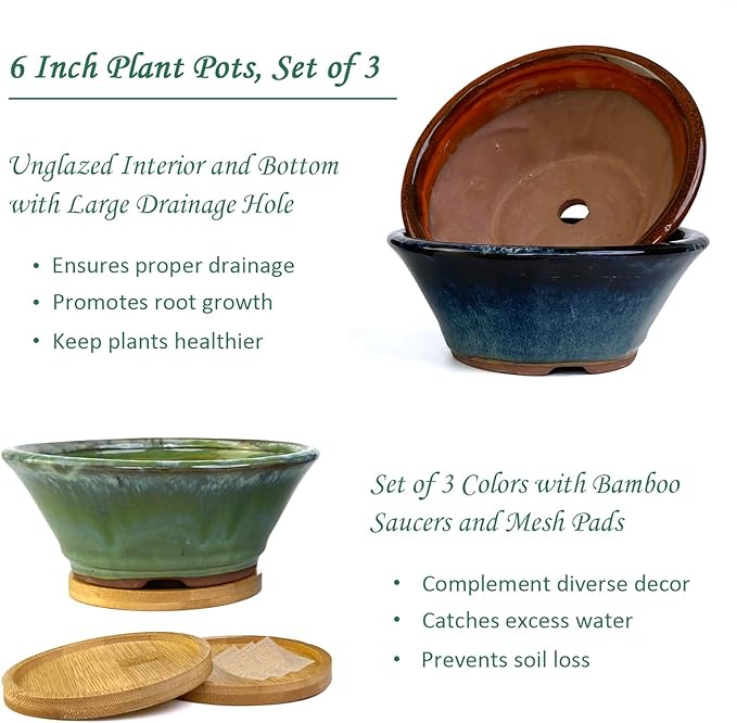 Summer Impressions 6 Inch Glazed Terracotta Succulent Pot Planter Small Plant Pot with Drainage Hole and Bamboo Saucer Cactus Ceramic Pot Set of 3 (Blue Green Orange)