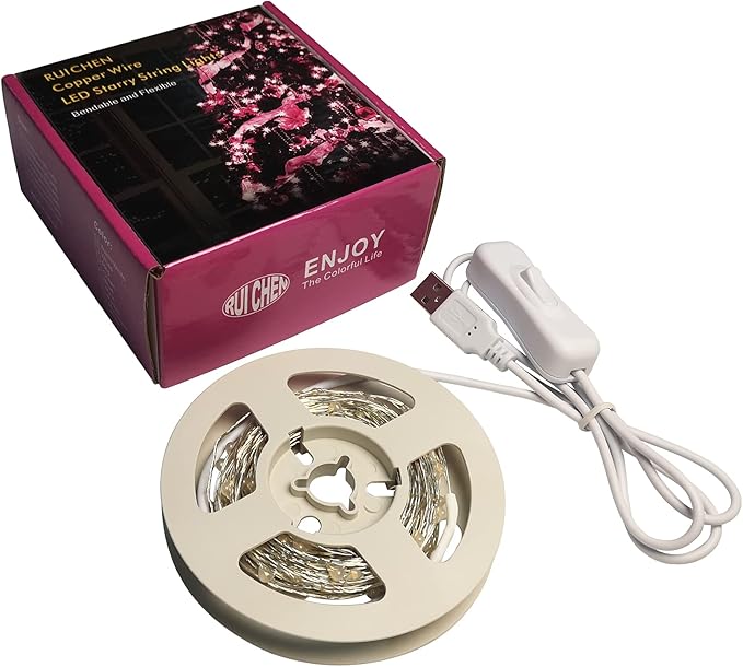 RUICHEN Silver Wire 33 Ft 100 LED USB Fairy String Lights with On/Off Switch (Blue)