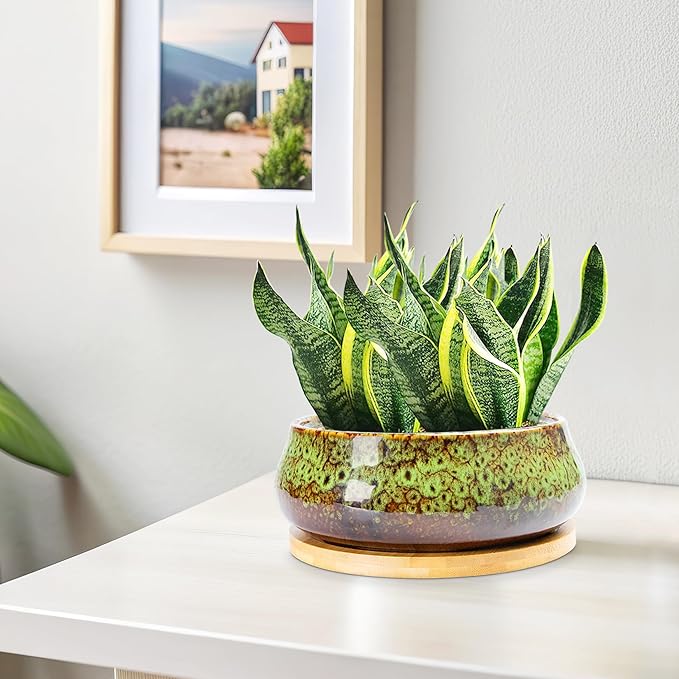 ARTKETTY Succulent Pots - 8 Inch Plant Pot, Large Bonsai Pots with Drainage Tray, Ceramic Planters for Indoor Outdoor Plants, Round Shallow Cactus Flower Plant Container Bowl Decorative Home Garden