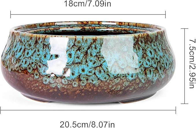 ARTKETTY Succulent Pots - 8 Inch Plant Pot, Large Bonsai Pots with Drainage, Ceramic Planters for Indoor Outdoor Plants, Round Shallow Cactus Flower Plant Container Bowl Decorative Home Garden