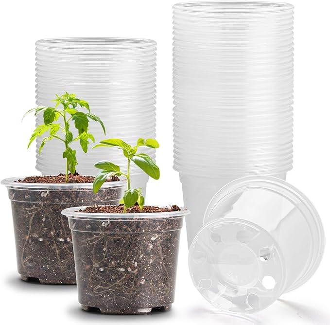 RooTrimmer Clear Seedling pots 100-Pack 3.2 Inches Round for Seeds Starter Pots, Seeds Germination Transparent Clean Pots with Drainage Holes(100 Pcs, 3.14Inch)