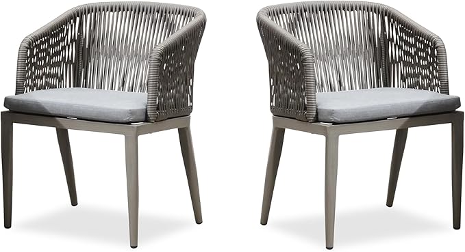 PURPLE LEAF 2 Pieces Outdoor Dining Chair All-Weather Wicker Aluminum Frame Patio Dining Chair for Lawn Garden Backyard Deck with Cushion, Grey Armchair