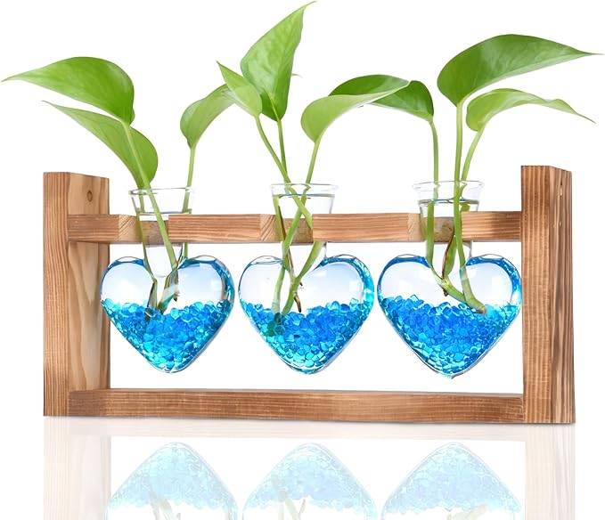 Nacome Plant Terrarium Propagation Stations: Valentines Day Gifts for Her Plant Lovers Women Mom Wife Daughter - 3 Bulb Glass Vase with Wooden Stand Tabletop for Hydroponics Indoor Office Home Decor