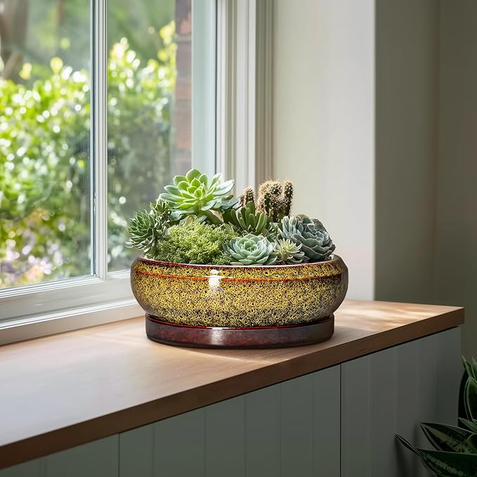 EPFamily Succulent Pots Large - 13 Inch Ceramic Bonsai Pot with Drainage Hole and Tray, Round Succulent Planters, Shallow Plant Pots Indoor, Bowl Planter Outdoor, Garden Decor, Gardening Gift, Yellow