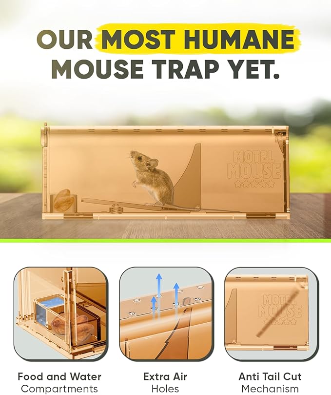 Motel Mouse Humane Mouse Traps No Kill Live Catch and Release 2 Pack - Reusable, Easy to Use & Clean, No Touch Release, Sensitive Includes Cleaning Brush, Instruction Manual & Video - Mousetrap Indoor