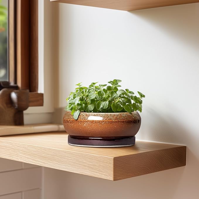 EPFamily Succulent Pots - 6 Inch Ceramic Bonsai Pots with Drainage Hole and Tray, Succulent Planters for Indoor Outdoor, Shallow Round Planter, Cactus Pot, Desk Decor, Plant Lover Gifts, Retro Brown