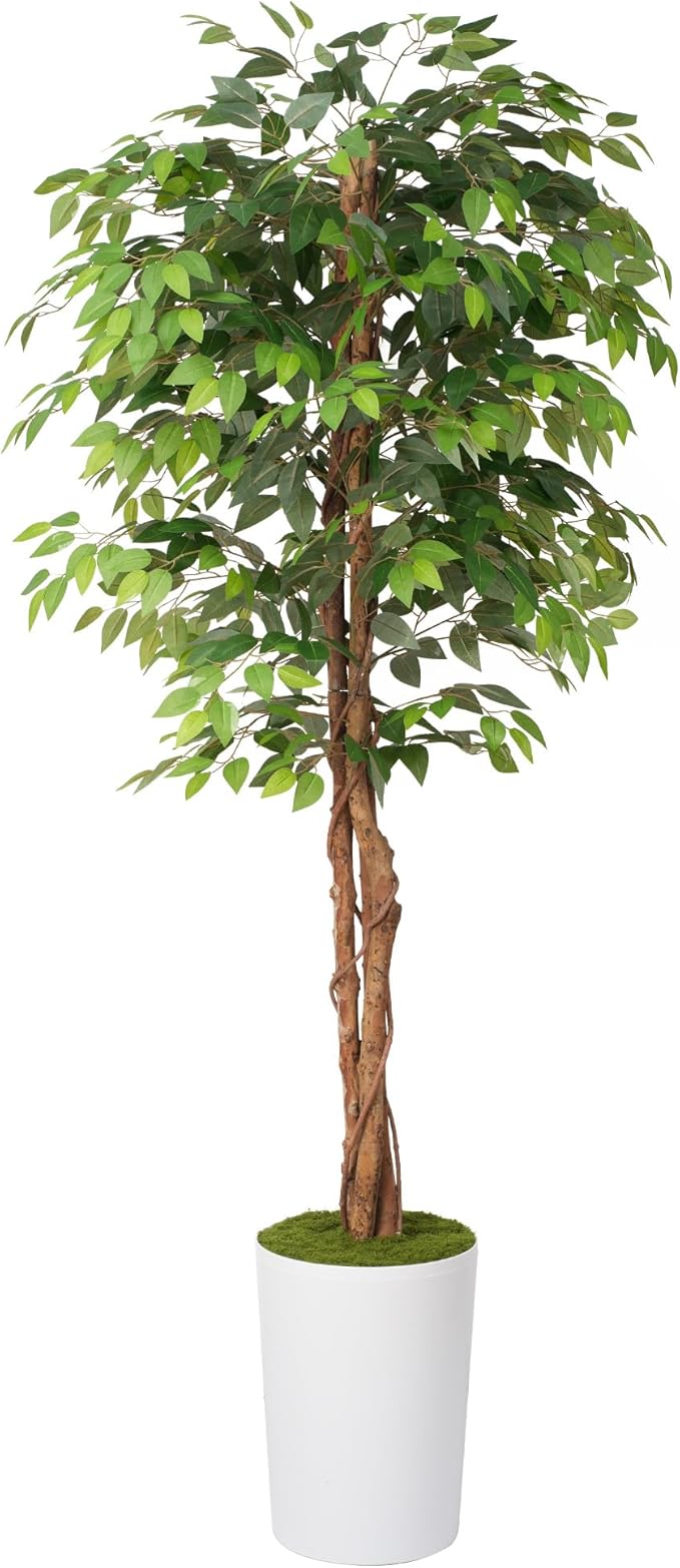 Waoops 7Ft Artificial Ficus Tree in Large Tall Planter - Faux Indoor Plant with Realistic Wood Trunk - Large Tall Fake Plant for Home, Office, Living Room, Patio Decoration