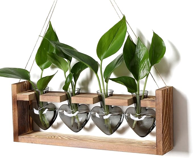 CYZglass Plant Propagation Stations Heart Plant Terrarium Kit Gift for Women Plant Lover Glass Vases