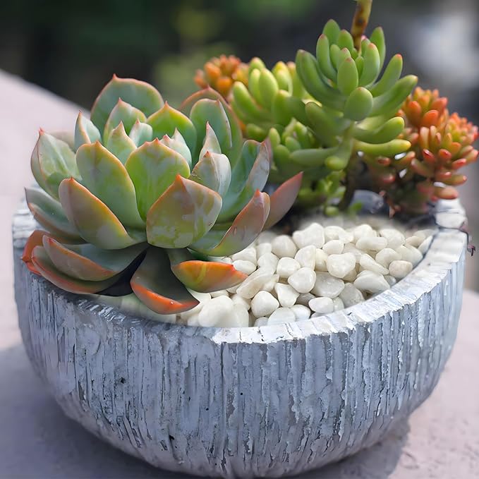 FANTIAN 5 lbs White Pebbles for Indoor Plants, 3/8 Inch Decorative White Gravel, Polished River Rocks for Potted Plants Vase Cactus Bird Bath and Outdoor Garden Landscaping