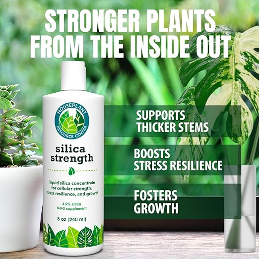 Silica Strength Plant Supplement – Strengthens Stems, Supports Upright Leaves & Improves Stress Resilience | Ready-to-Use 4.5% Liquid Concentrate for Houseplants | 8 oz | Makes 96 Gallons