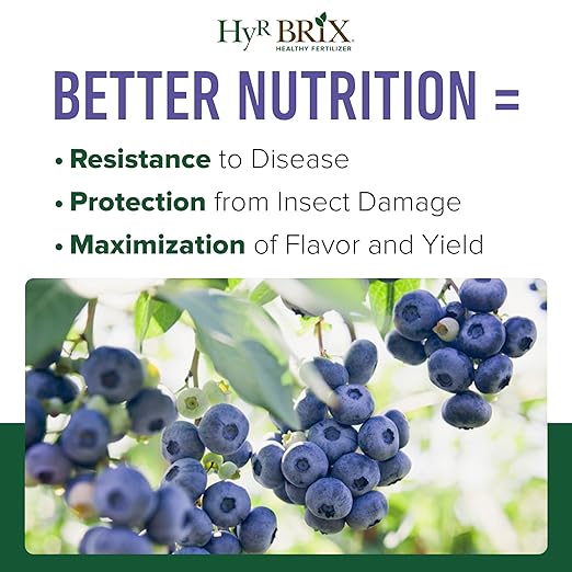 HyR BRIX Slow-Release 6-8-9 Fruit & Berry Fertilizer, 5lb Bucket - Plant Food with Calcium & Sulfur - Essential Micronutrients for Better-Tasting Fruit & Higher Yields
