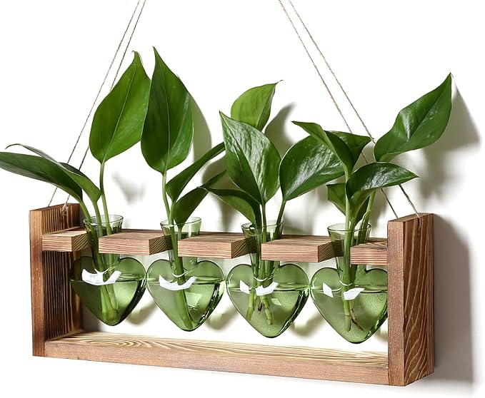CYZglass Plant Propagation Stations Heart Plant Terrarium Kit Gift for Women Plant Lover Glass Vases