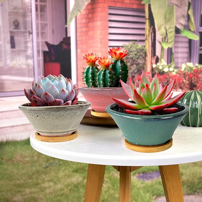 Summer Impressions 6 Inch Glazed Terracotta Succulent Pot Planter Small Plant Pot with Drainage Hole and Bamboo Saucer Cactus Ceramic Pot Set of 3 (Light Green Pink White)