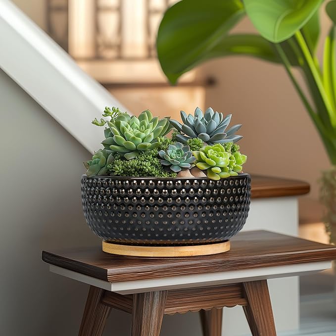 EPFamily Bonsai Tree Pot - 8 Inch Ceramic Succulent Planters with Drainage and Plant Tray, Boho Round Shallow Bowl for Indoor Plants, Office Decor, Housewarming Gift, Black