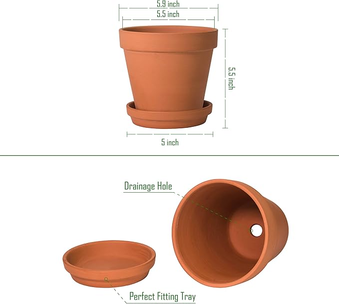 D'vine Dev Terracotta Pots Set, 6-Inch Terra Cotta Pots with Saucers & Tray, Ideal for Plants & Succulents