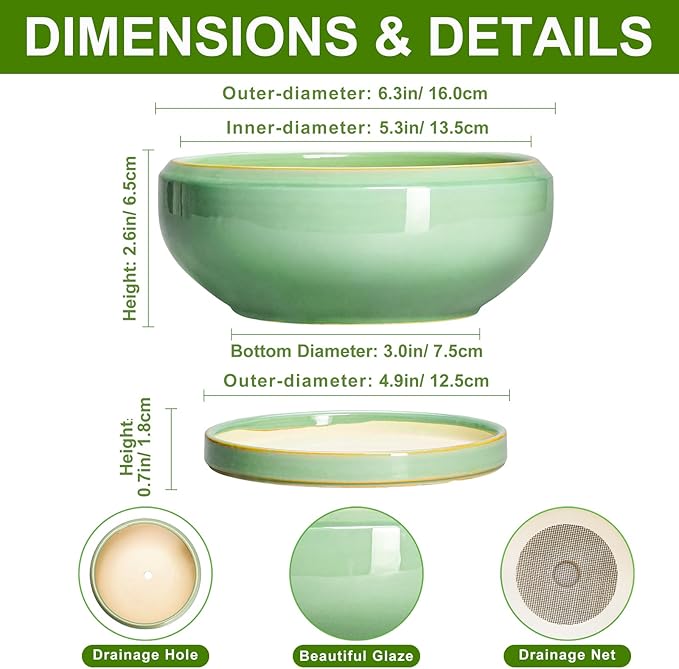 Succulent Pots 6 Inch - Ceramic Bonsai Pots for Indoor Outdoor, Shallow Ceramic Planters with Drainage Hole and Saucer, Round Small Bonsai Tree Pot, Home Decor, Plant Lover Gift, Light Green