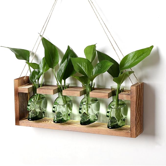 CYZglass Plant Propagation Stations Halloween Skull Plant Terrarium Kit Glass Vases Gift for Father Air Planter Home Office Decor