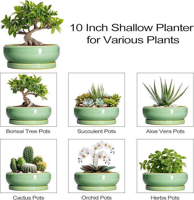 EPFamily 10 Inch Bonsai Tree Pots - Ceramic Succulent Pots with Drainage Hole and Tray, Shallow Planter for Indoor Outdoor Plants, Round Planters, House Decor, Gifts for Plant Lovers, Light Green