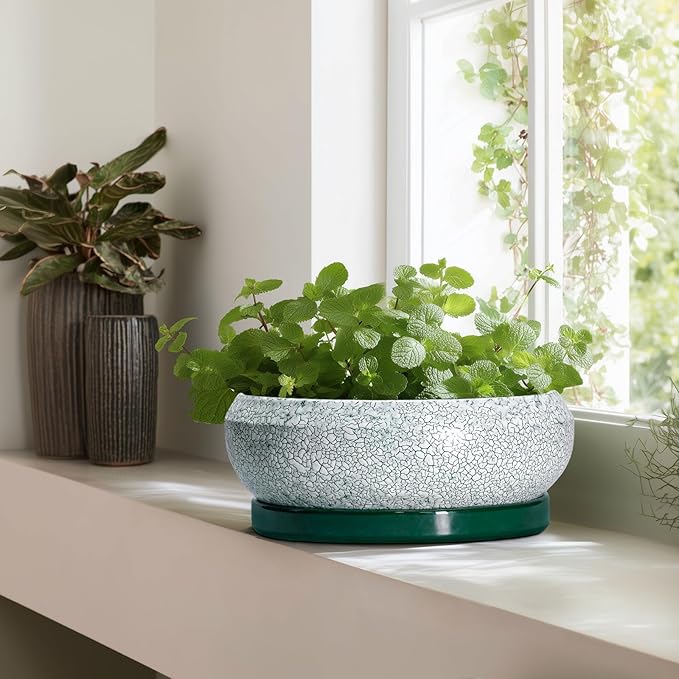 EPFamily Bonsai Pots 13 Inch - Shallow Ceramic Planter with Drainage Hole and Saucer, Round Succulent Pots for Indoor Outdoor, Large Succulent Planter, Apartment Decor, Gardening Gifts, Green