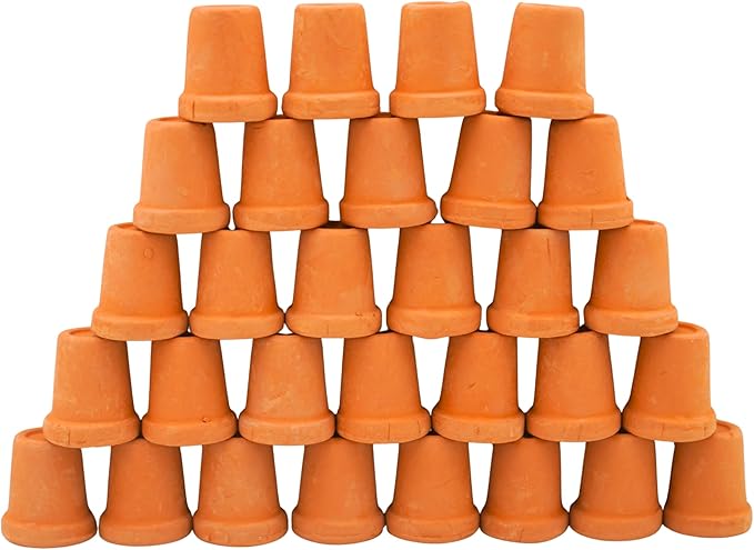 Yuvori Mini Terracotta Pots – Small Clay Flower Pots for Succulents, Cactus, DIY Crafts, Fairy Garden, School Projects, Mini Planters – Set of 30 (Straight Cylinder, 0.6 Inch)