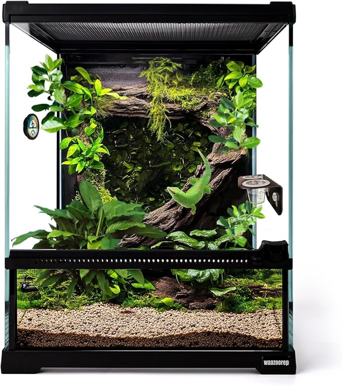waazoorep Mini Reptile Glass Terrarium Tank 8"*8"*10" Full View with Front Opening Door,Amphibians Enclosure Habitat Cage for Leopard Gecko Tarantula Young Lizard Hermit Crab Frog Insects Breeding
