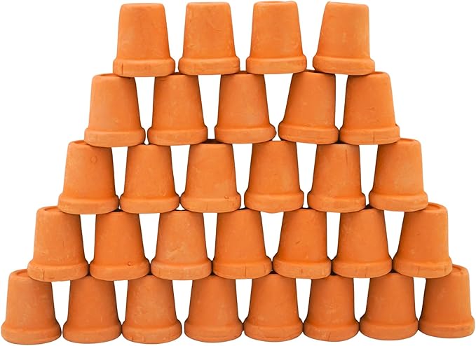 Yuvori Mini Terracotta Pots – Small Clay Flower Pots for Succulents, Cactus, DIY Crafts, Fairy Garden, School Projects – Set of 30 (Straight Cylinder, 0.7 Inch)