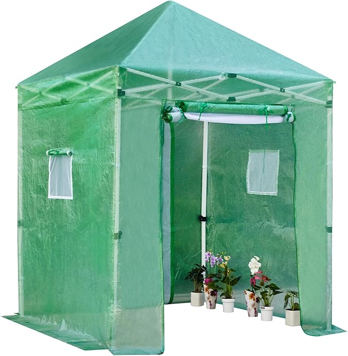79”x 79”x 107”Walk in Instant Pop-up Greenhouse,Indoor Outdoor Gardening Green House, Roll-Up Zipper Doors and Side Windows Mesh Windows, Thickened PE Cover & Heavy Duty Steel Frame, Green