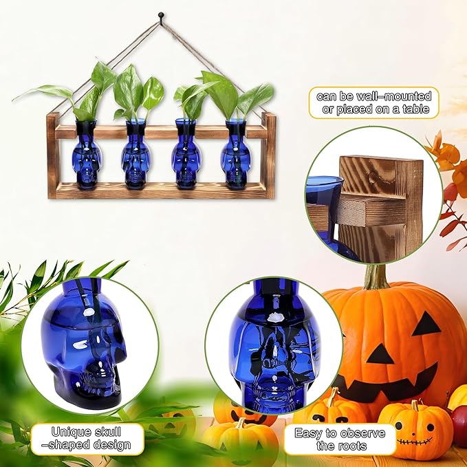 CYZglass Plant Propagation Stations Halloween Skull Plant Terrarium Kit Glass Vases Gift for Father Air Planter Home Office Decor