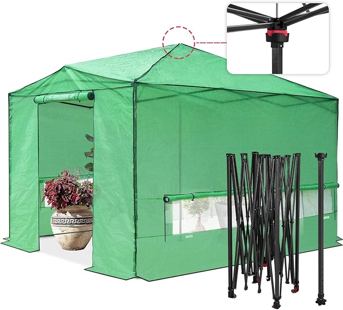 EAGLE PEAK Instant Pop-up Greenhouse, Indoor Outdoor Plant Gardening Green House, Roll-Up Zipper Doors & Side Windows - Winter Support Pole, Walk in 12x8 ft, Green/Clear