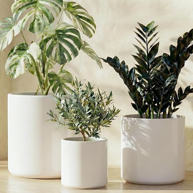 LE TAUCI Ceramic Pots for Plants, 10+8+6 Inch Indoor Plant Pots, Modern Planters for Indoor Plants Home Office, Cylinder Round Planters with Drainage Hole and Plug, Set of 3, White
