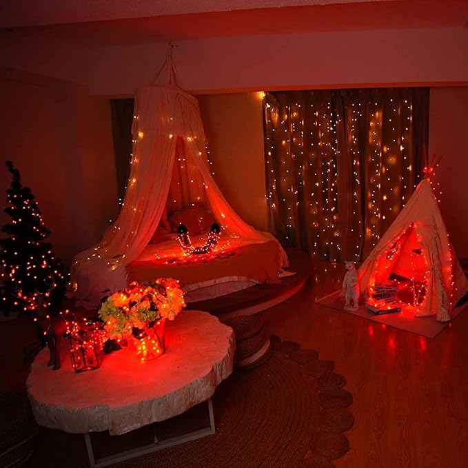 RUICHEN Silver Wire 66 Ft 200 LED USB Fairy String Lights with On/Off Switch (Orange)