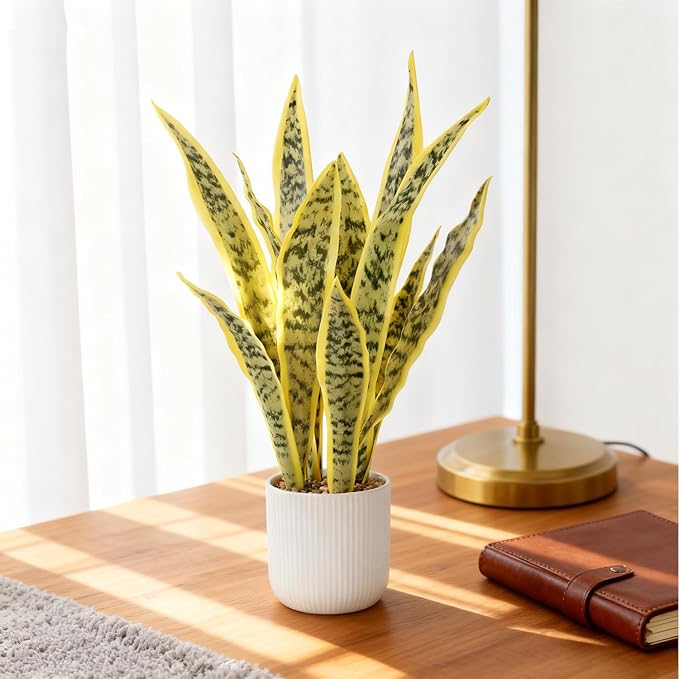 Artificial Realistic Snake Plant 21.5" with White Pot Fake Snake Plants Sansevieria Greenery Faux Snake Plant for Home Office Living Room Housewarming Gifts Indoor Decor-LightYellow
