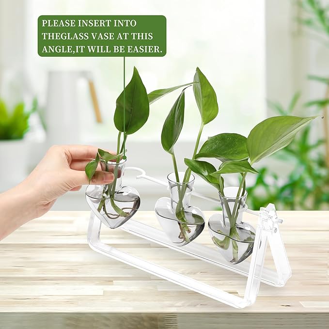 CYZglass Clear Plant Terrarium Propagation Stations with Acrylic Stand Birthday Gifts for Women Office Home Decor
