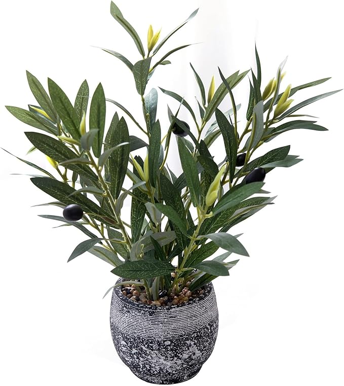Ewtogift Indoor Faux Olive Plant 12 inch Artificial Silk Leaves in Elegant Planter Perfect Fake Olive Branches with Realistic Trunk and Lifelike Fruits Tabletop Greenery Decor for Home Office