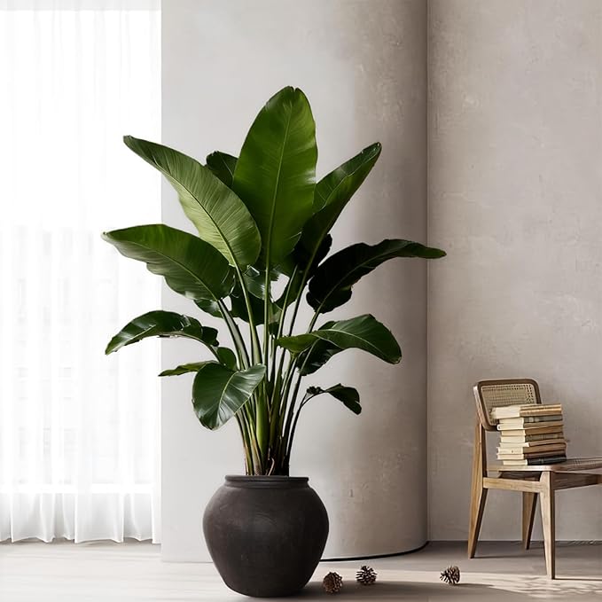 Haispring 12" H x 14" Dia Fiberstone Vintage Style Planter with Drainage Hole, Indoor/Outdoor Large Plant Pot for Home Patio Garden, Ideal for Artificial Tree/Plants
