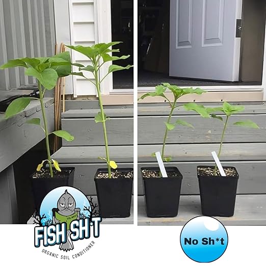 Fish Head Farms Organic Soil Conditioner - Organic Fertilizer for Increased Yield and Flavor - Plant Fertilizer, Plant Nutrients for Soil, Soilless, Hydroponic Farming - 5L