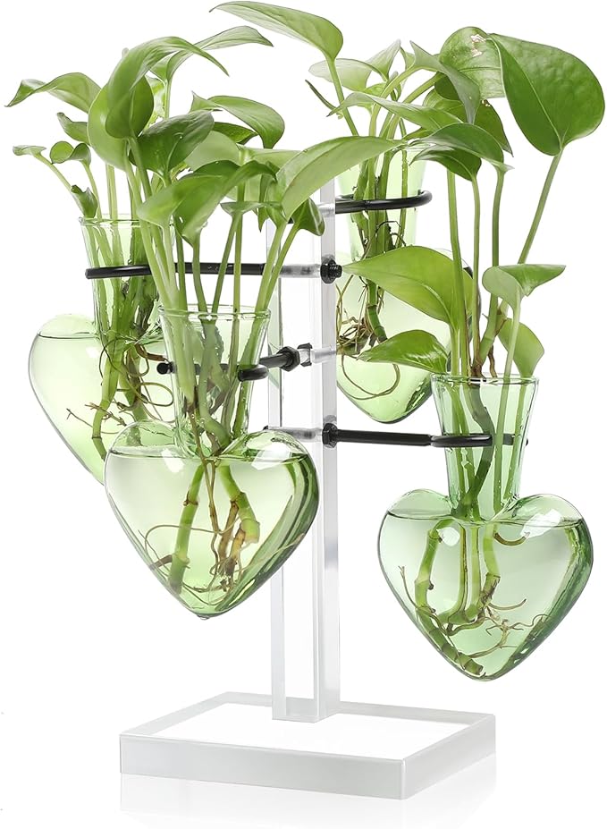 YYHglass Clear Plants Propagation Stations Terrarium Kit Birthday Gift for Women for Indoor Home Office Decor Acrylic Plant Accessories - 4 Love Hear Vase