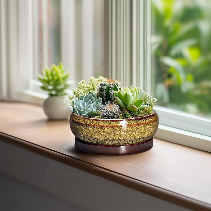 EPFamily Small Bonsai Pots - 6 Inch Ceramic Succulent Planters with Drainage Hole and Saucer, Shallow Round Planter Indoor Outdoor, Cactus Succulent Pots, Living Room Decor, Plant Lover Gift, Yellow