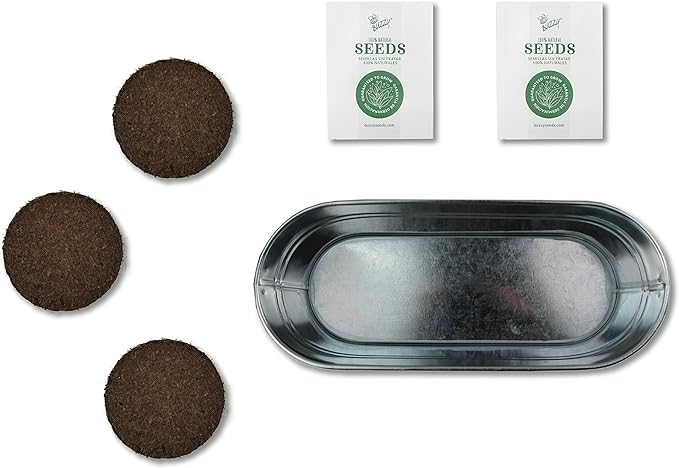 Buzzy Seeds My First Garden Windowsill Grow Kit, Tomato and Marigold Seeds, Indoor Gardening Starter Set for Beginners, Fun DIY Planting Project Gift, New Home Present