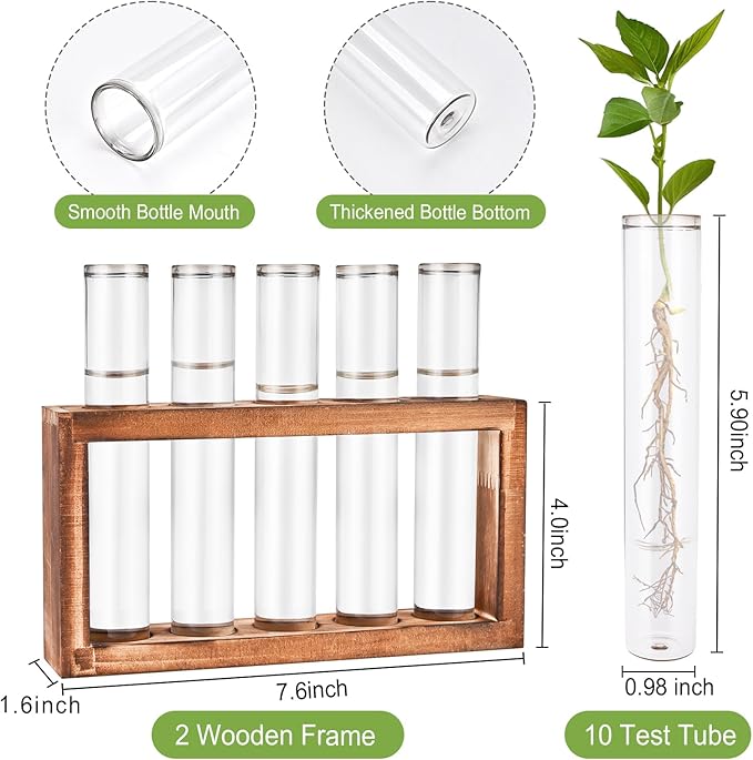 Tigvio 2pcs Desktop Glass Plant Propagation Station with 10 Test Tubes in Wooden Stand - Hydroponic Plants Cutting Office Home Decoration and Garden Decor Terrarium (10 Tubes)
