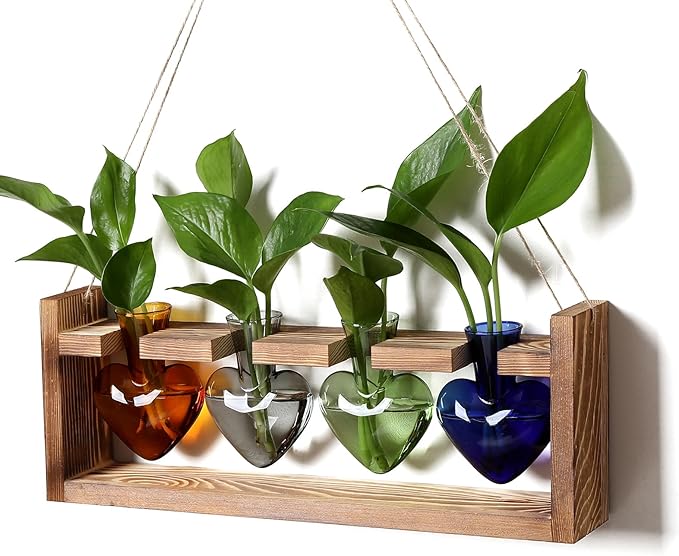 CYZglass Plant Propagation Stations Heart Plant Terrarium Kit Gift for Women Plant Lover Glass Vases