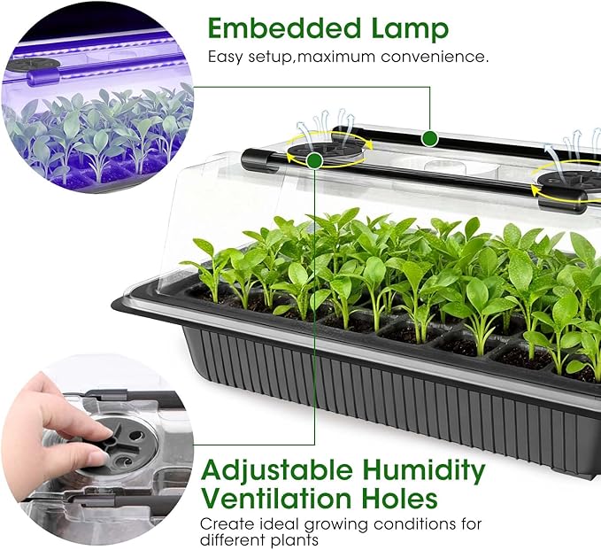 MQUPIN 80-Cell Seed Starter Tray with Grow Light, 2-Pack Adjustable Brightness Seed Starter Kit with Humidity Dome,Smart Timer,Watering Sprayer,Seeder,Plant Germination Kit for Seeds Growing