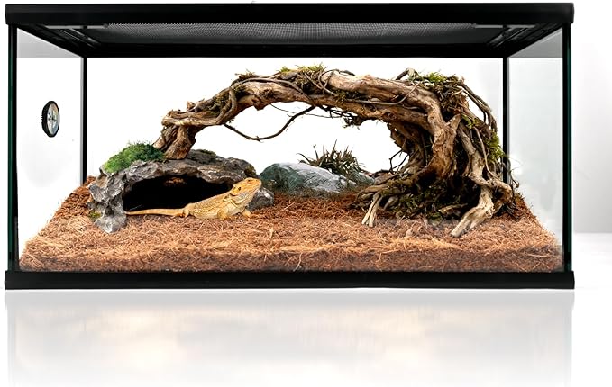 waazoorep Reptile Glass Tank 20"*12"*10" Pre-Assembled Terrarium for Turtle,Hermit Crab,Bearded Dragon,Gecko,Lizard,Snake,Spider,Fish,Tarantula Enclosure with Top Screen Ventilation and Openning Door