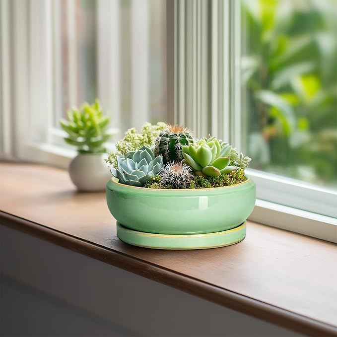 Succulent Pots 6 Inch - Ceramic Bonsai Pots for Indoor Outdoor, Shallow Ceramic Planters with Drainage Hole and Saucer, Round Small Bonsai Tree Pot, Home Decor, Plant Lover Gift, Light Green